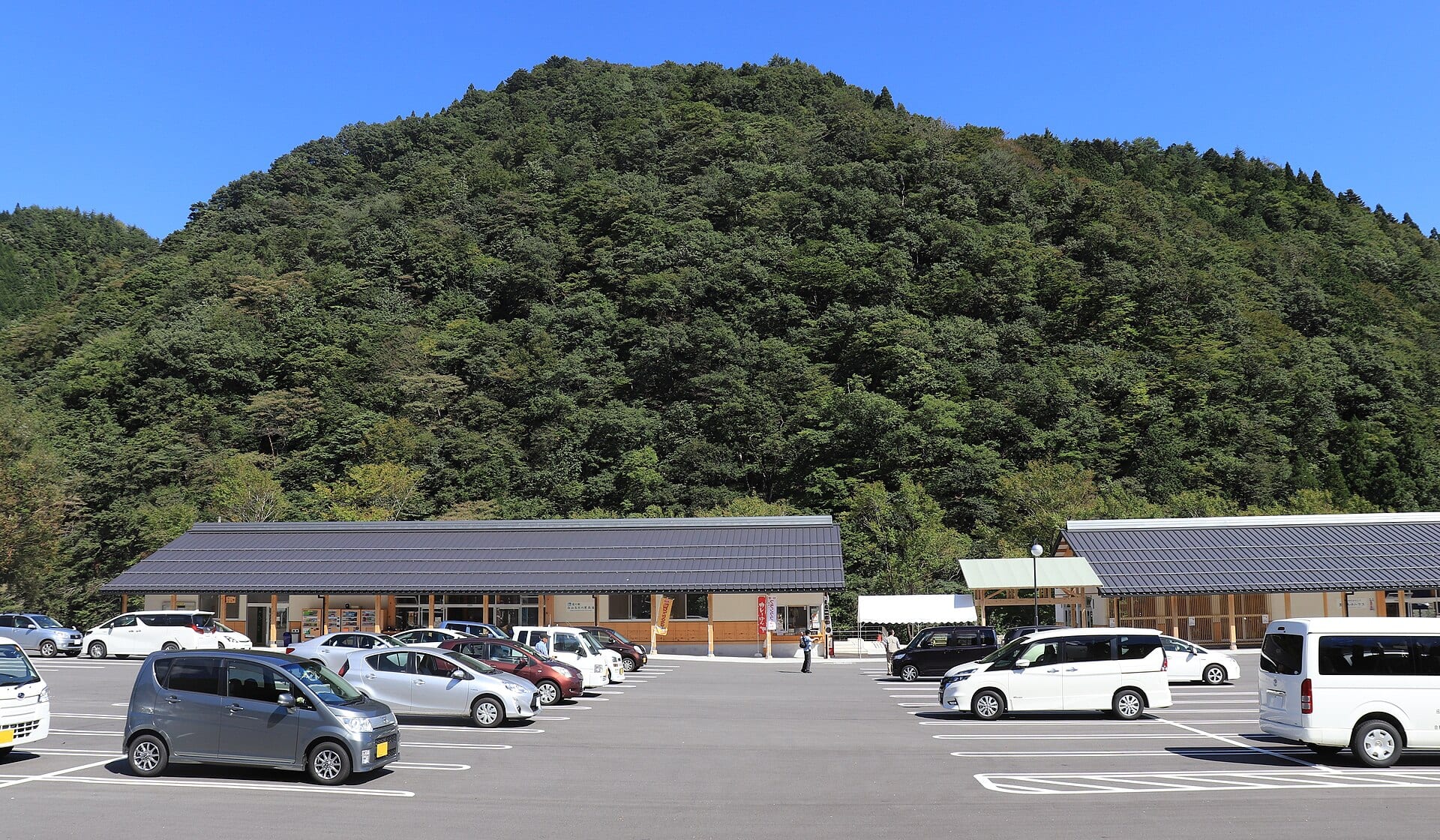 白鳥の風景