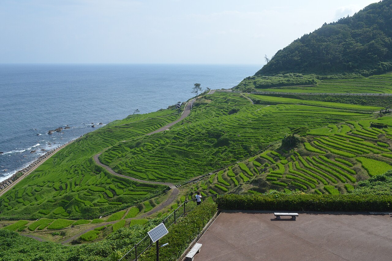 白米千枚田の風景