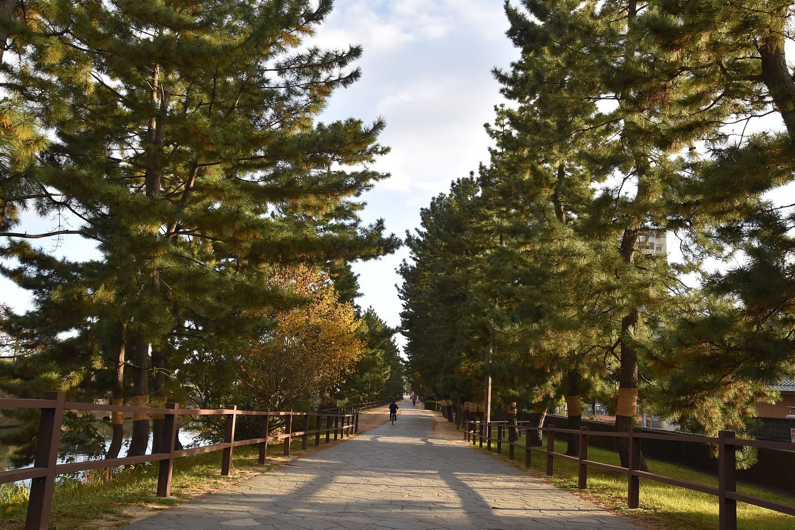 草加松原