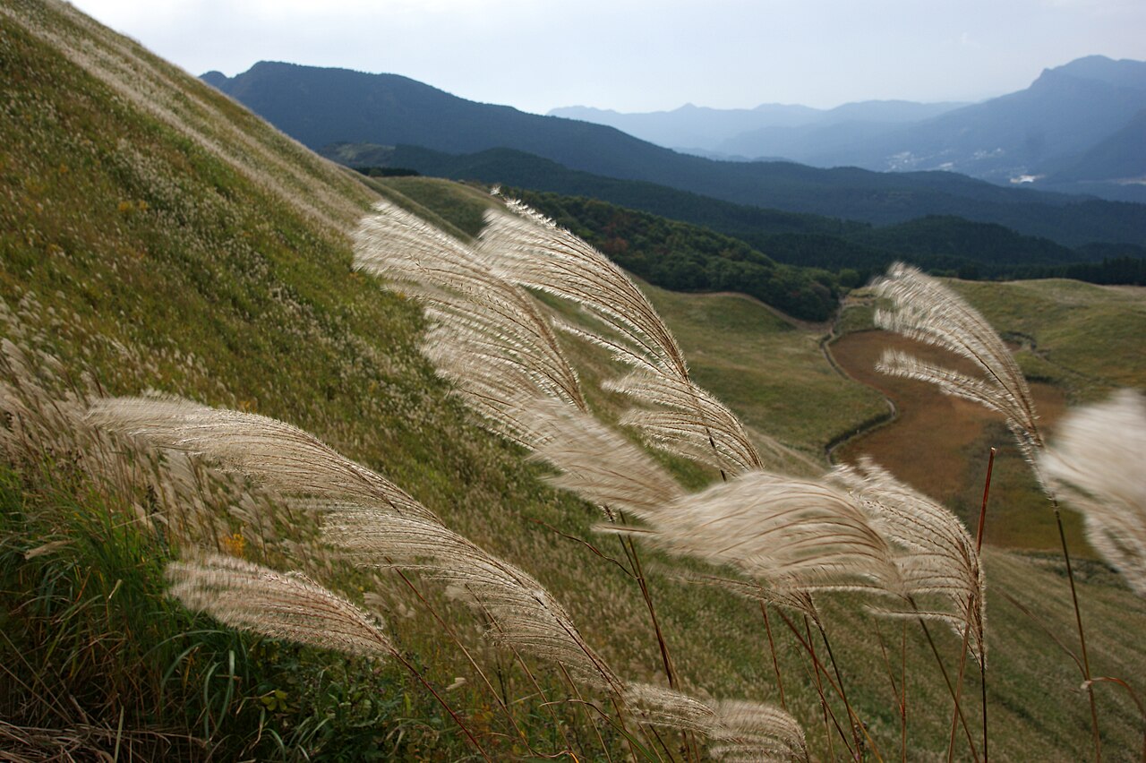 曽爾高原の風景