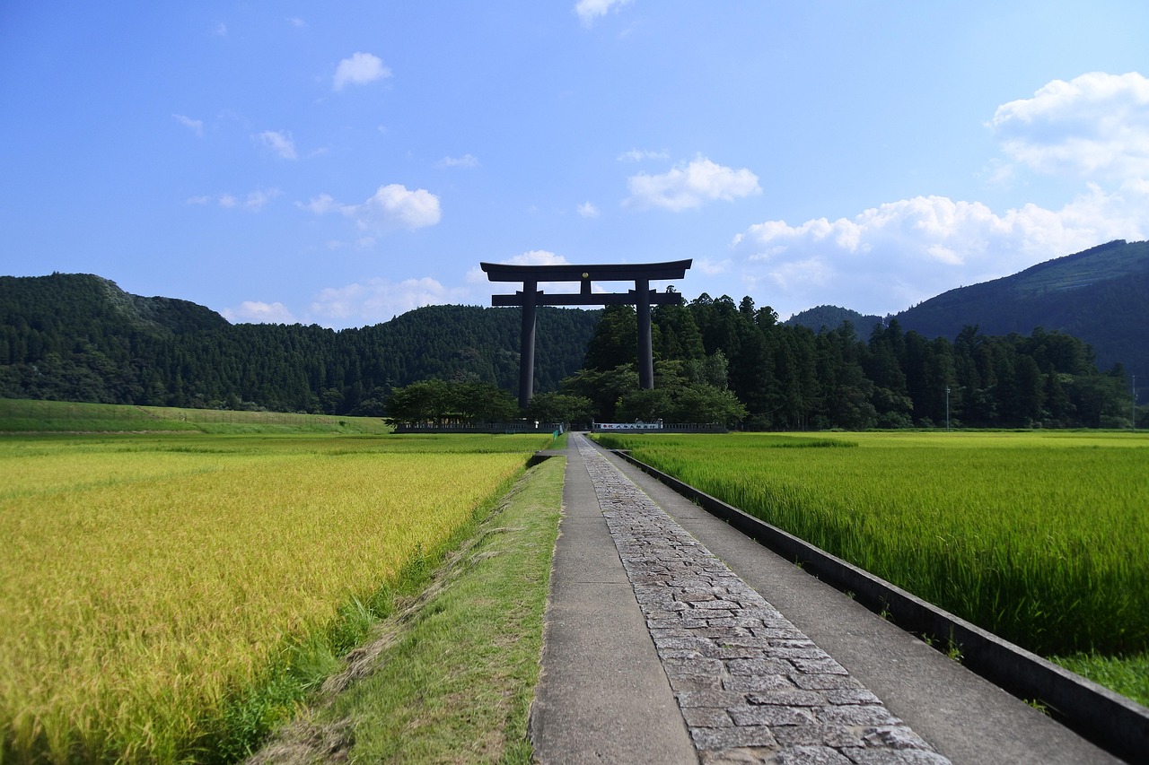 本宮