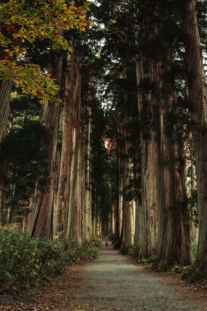 成田参道