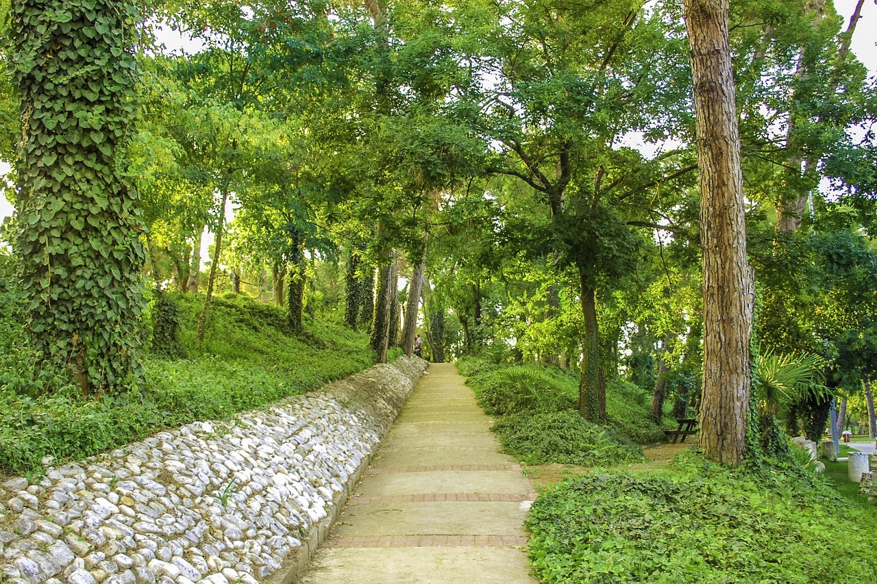 小金井公園・雑木林散歩道