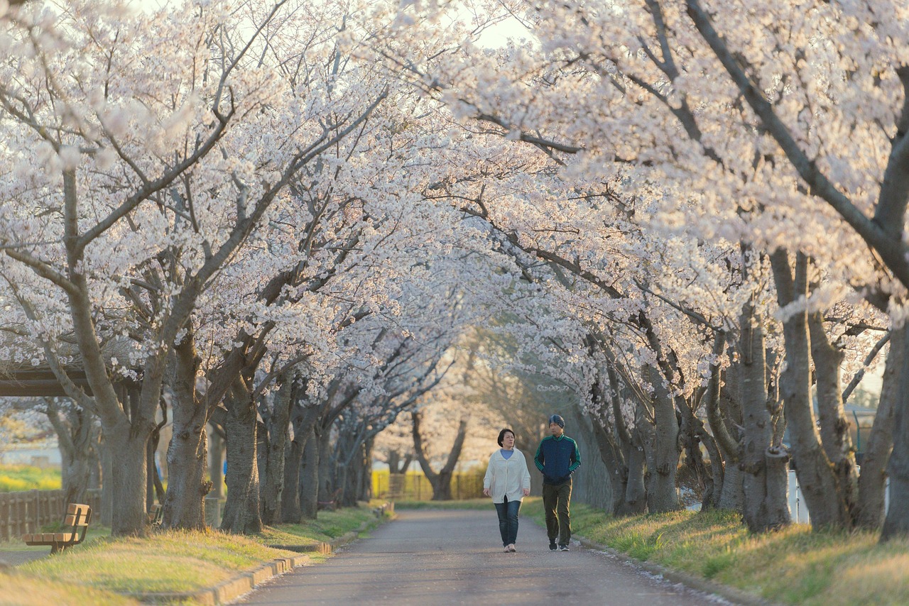 八雲神社