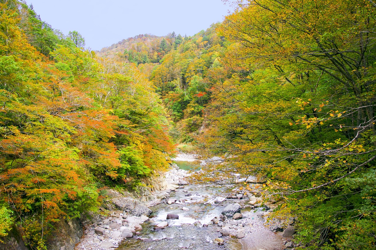 秋山郷の林道ドライブ