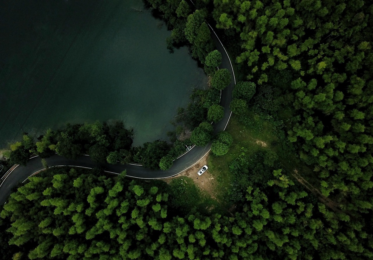 湧水めぐりの道