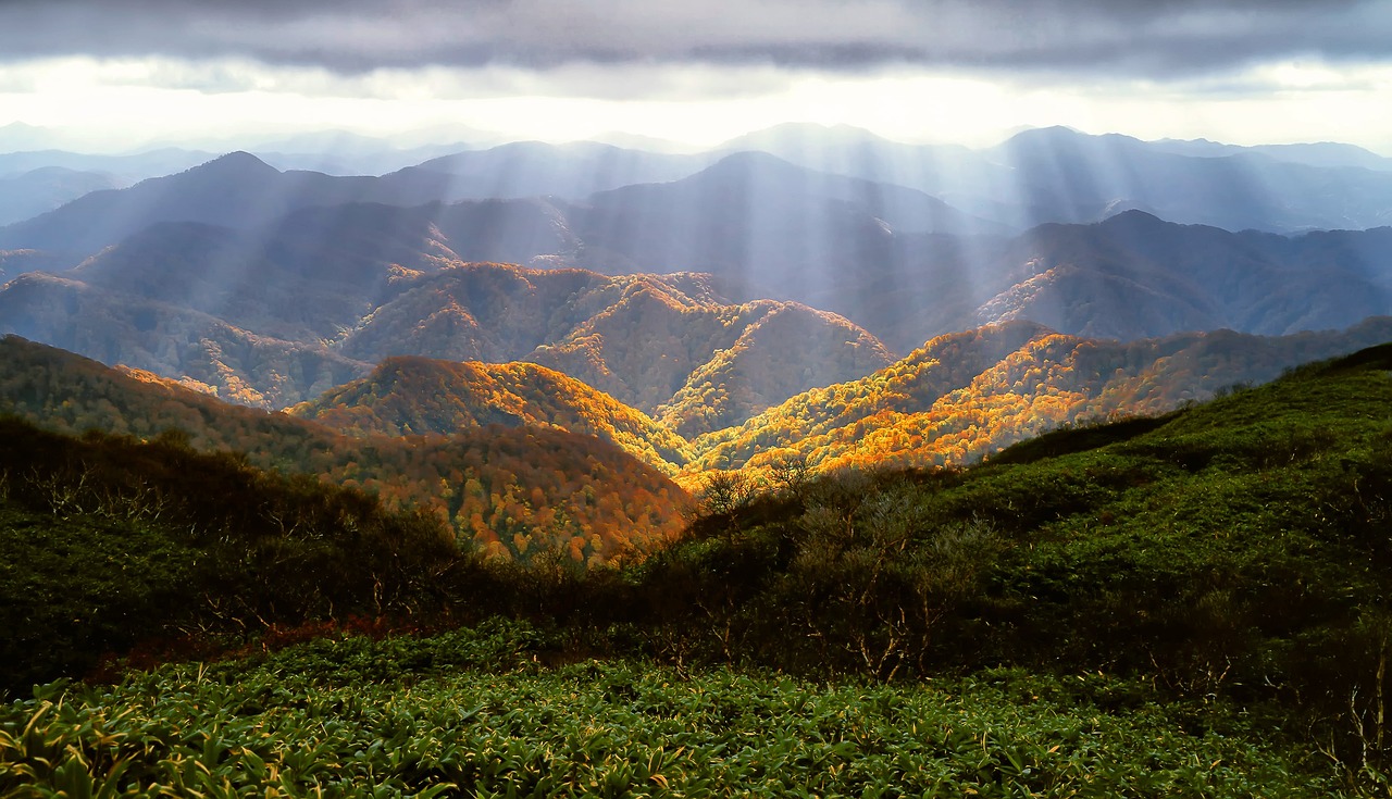 白神山地