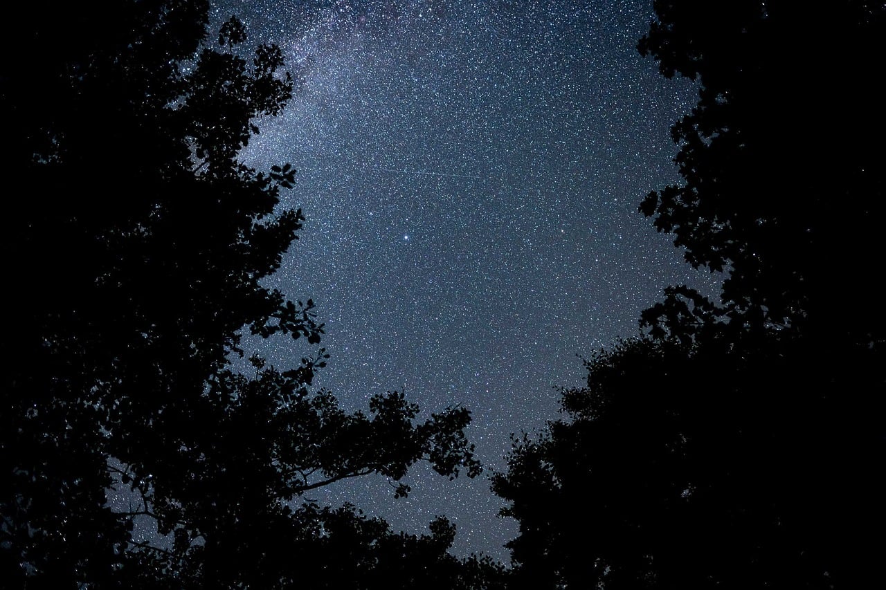 ミルキーウェイ｜マイナス20度の夜に、天の川が落ちてきた