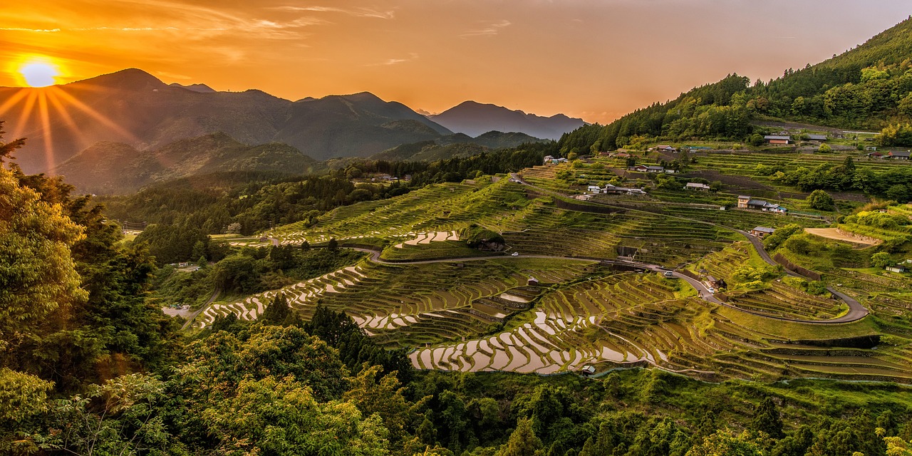 千枚田