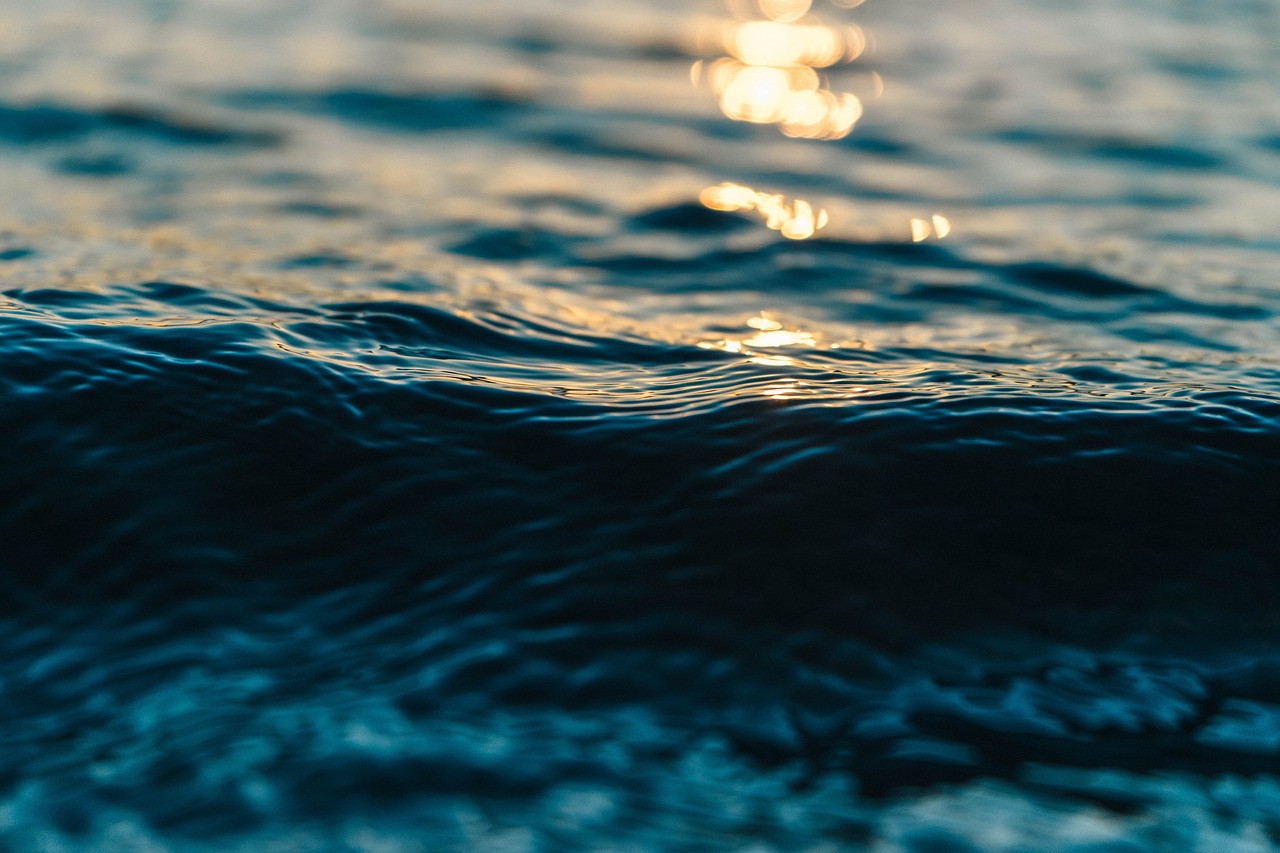 久木の海