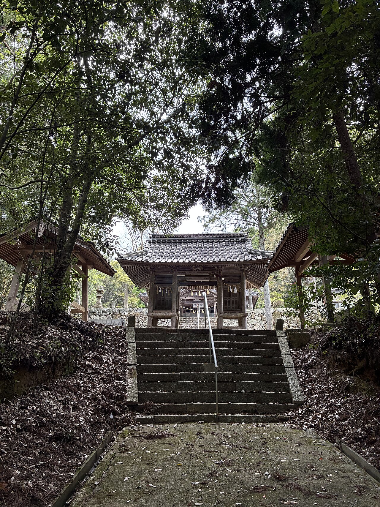 高梁