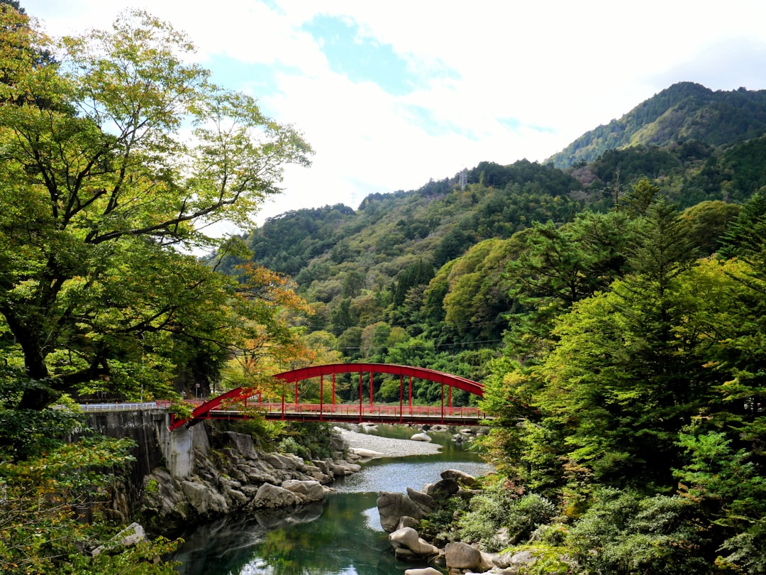 竹田の風景