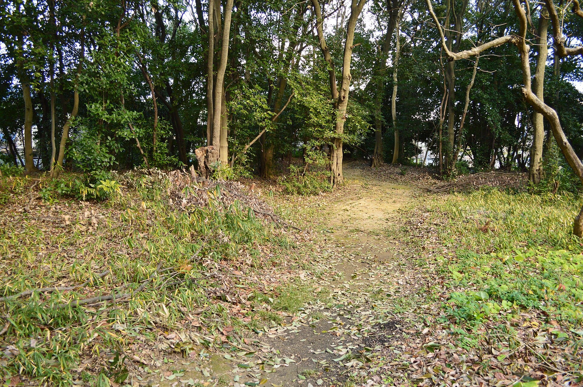 田辺
