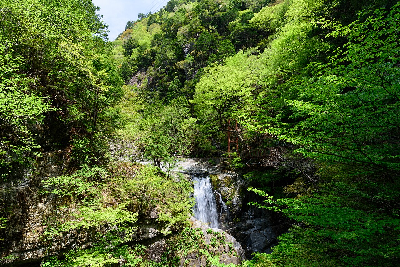 天川村の風景