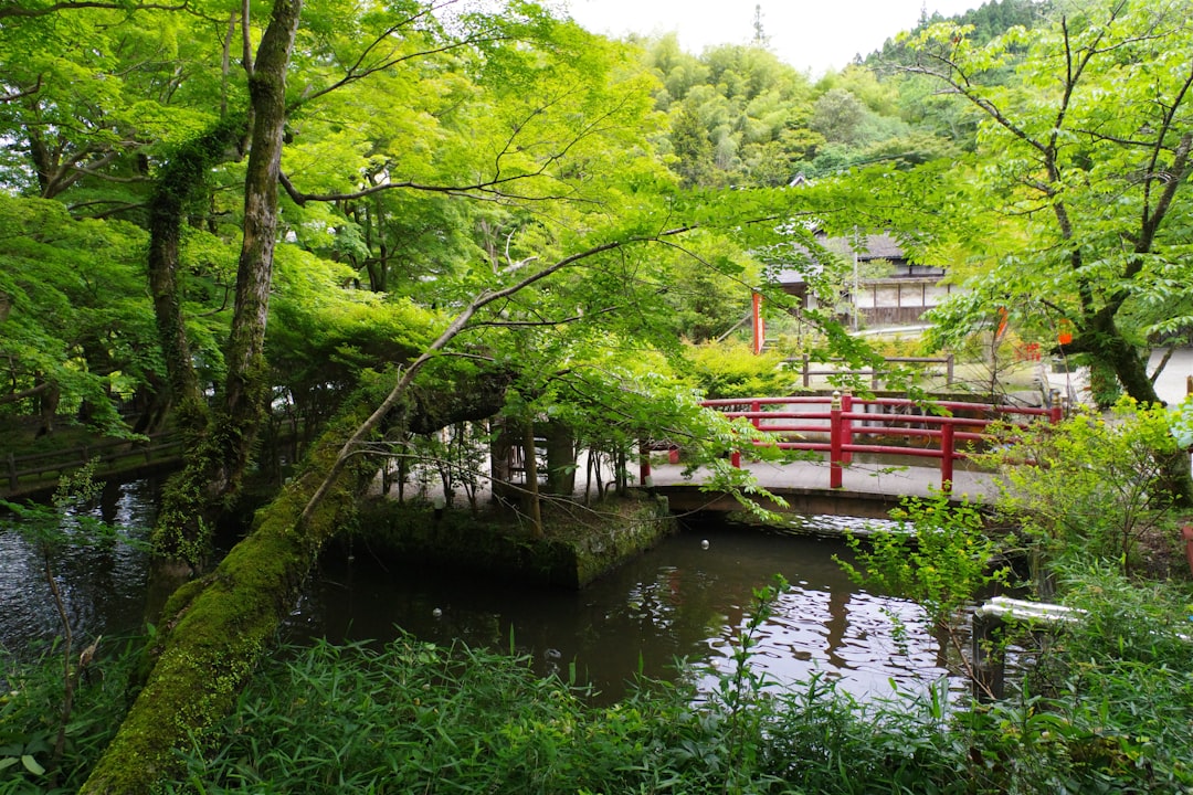 十津川
