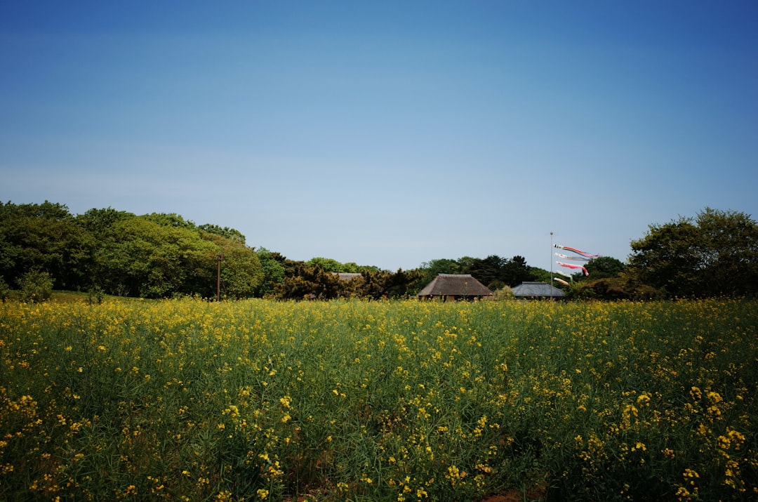 筑波の風景