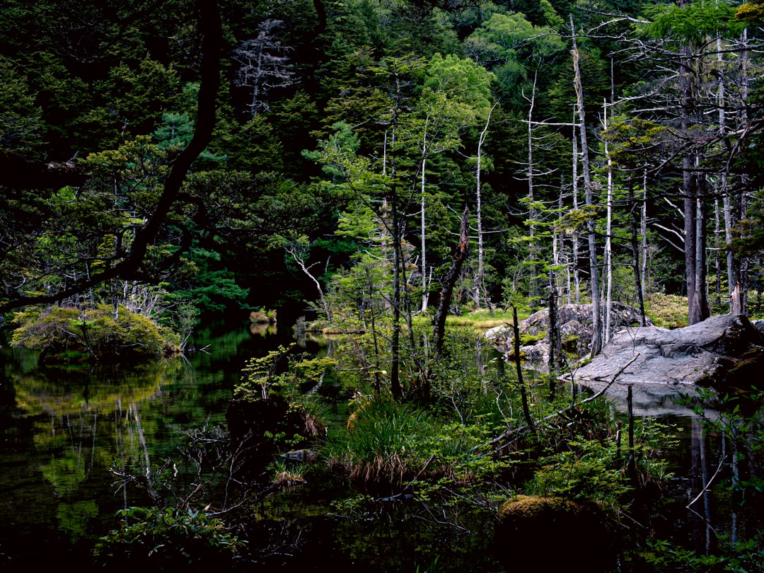 屋久島