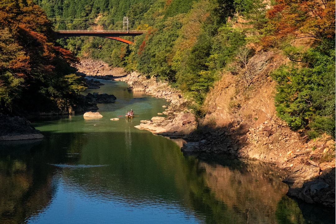 山鹿の風景
