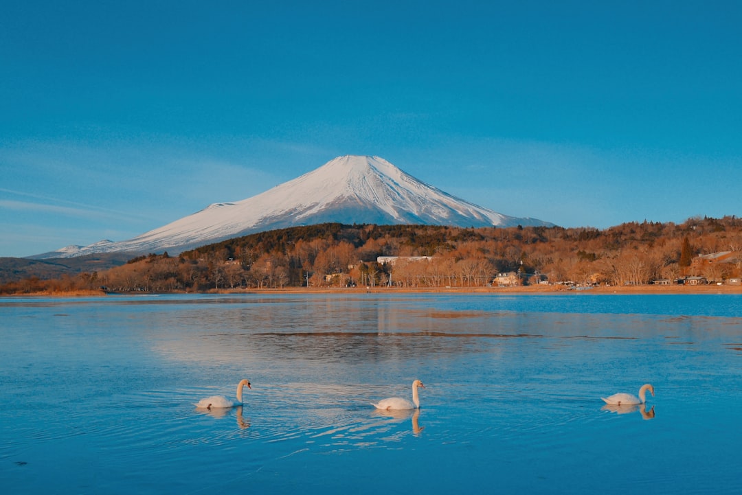 山中湖