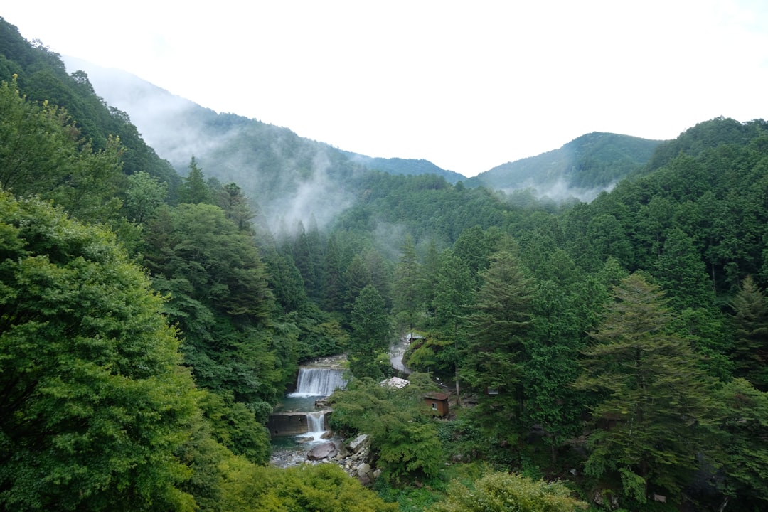 湯田温泉