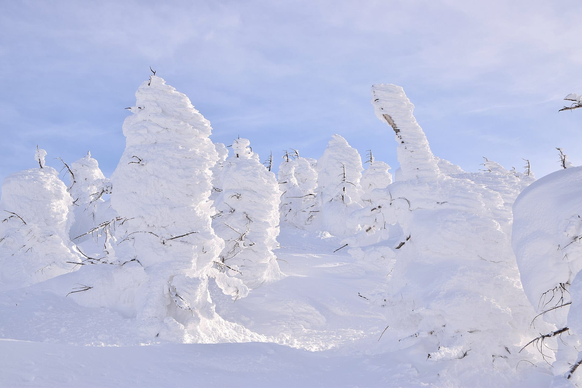 蔵王樹氷の風景